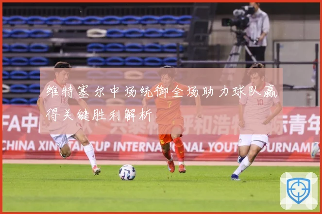 维特塞尔中场统御全场助力球队赢得关键胜利解析