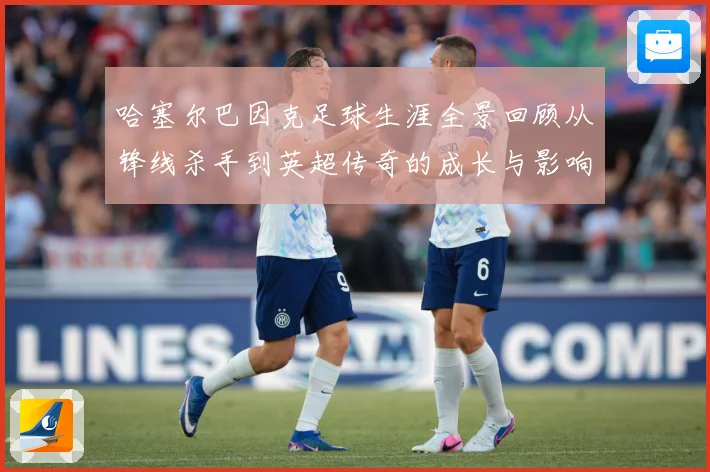 哈塞尔巴因克足球生涯全景回顾从锋线杀手到英超传奇的成长与影响